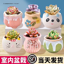 ֲ҃СԴwBմMlƻܾGֲ