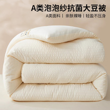 a类大豆纤维被子春秋加厚保暖冬被泡泡纱被芯透气学生宿舍四季被