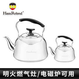 Hausroland跨境不锈钢水壶燃气明火用出口烧水壶3L+1L套装