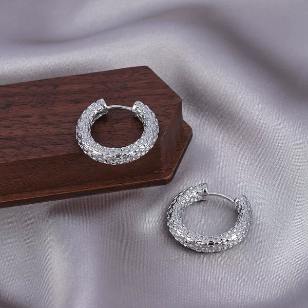Earrings for Women, Simple and Luxurious, Delicate Hoop Ear Clips, Minimalist Style, Trendy and Unique Design, Versatile and Stylish Ear Accessories