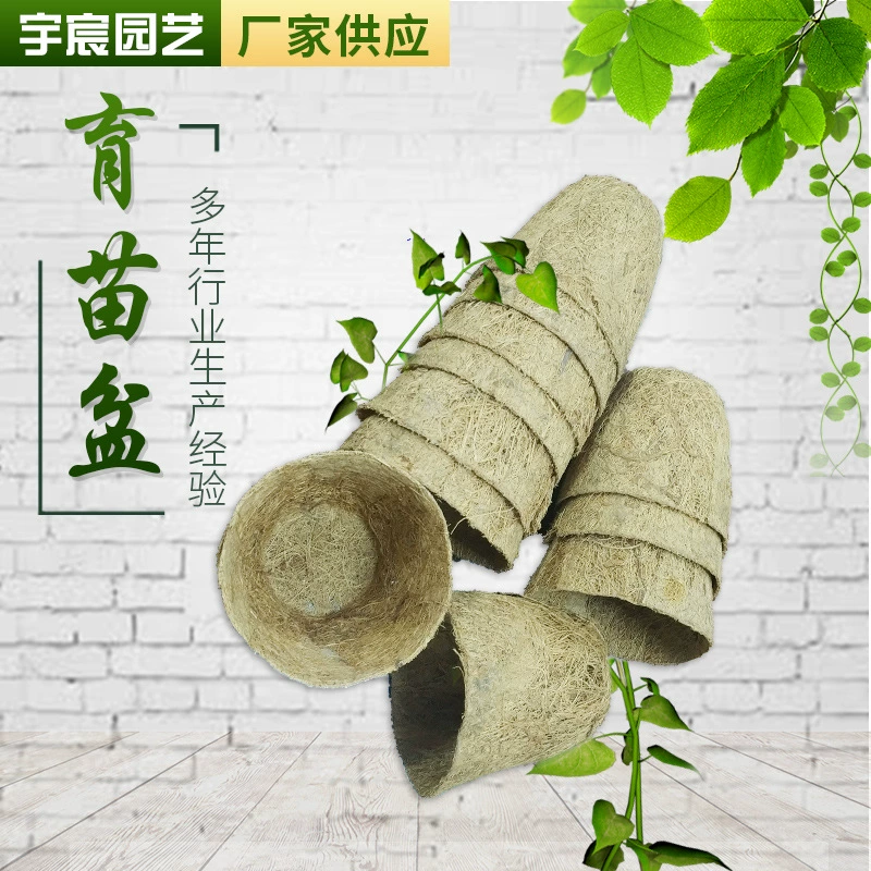 Кокосовый коричневый рассады Кубок Фабрика снабжения Кокос измельченных рассады бассейна Кокосовый коричневый рассады Кубок рассады