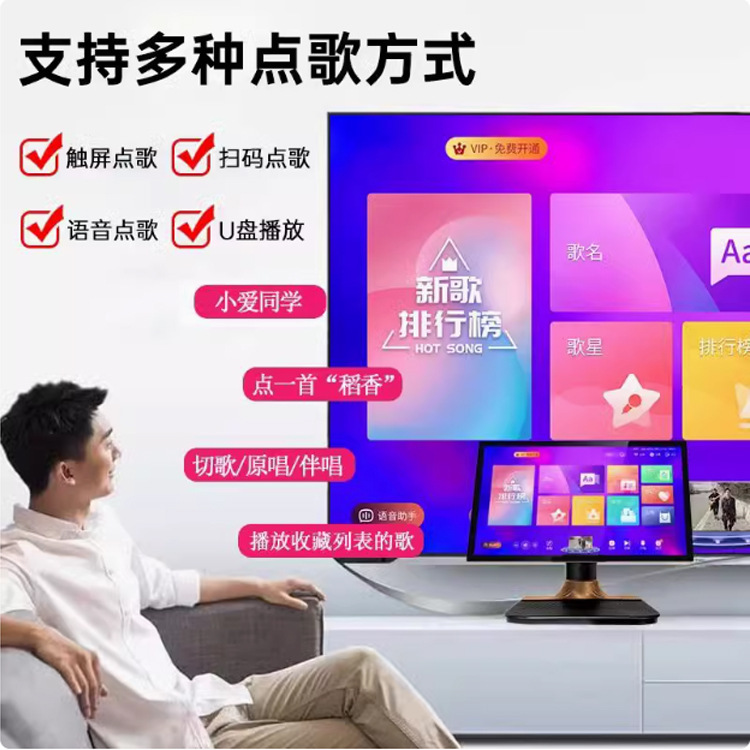 Juego de audio Yazhu Family KTV Juego completo de máquina de karaoke, máquina de karaoke profesional para el hogar, equipo de altavoces