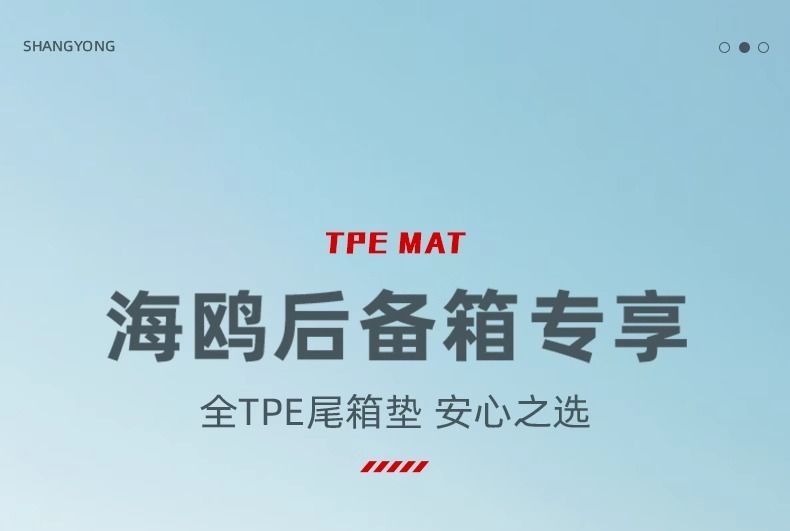 Applicable to BYD Seagull Trunk Mat 25 Surrounding 24 Trunk Mat Interior Decoration Auto Supplies