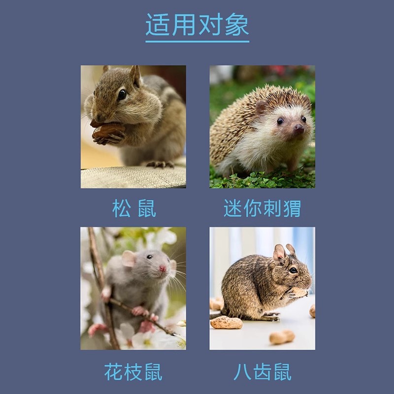 退屈を和らげるトトロランニングホイール、静かな爪磨きおもちゃ、特大の壁掛け式つま先研削スポーツランニング抗咬傷サスペンション|undefined
