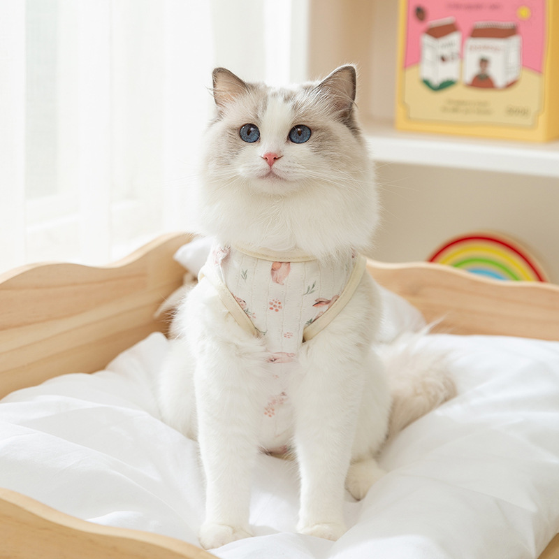 Gato aire acondicionado transpirable cuatro estaciones ropa para perro ropa para el hogar caricatura lindo viento gato sin pelo se puede cortar bolsa de mascota abdomen
