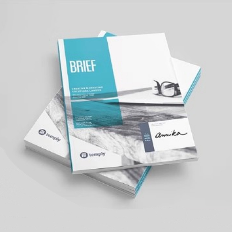 公司宣传图册画册公司介绍产品说明书员工规章制度手册精装画册本