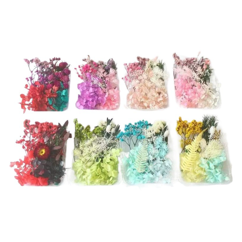 Набор для творчества "Вечный цветок" ко Дню матери, 520 шт.,  DIY,  в коробке для ланча,  ручная работа,  с сушеными цветами,  в форме веера,  фоторамка,  креативный  ручной  продукт,  оптом из Юньнани.