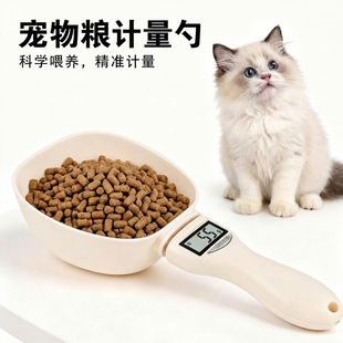 �羳��ӷQ��̌���ÿ˳�800g��׼�y���ֳ����ӠI�B؈�Z���Z