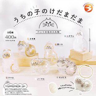 Transparent Cat Hair Storage Box Pendant Capsule for Storing Cat Hair Commemorative Collection Bag Keychain Bag Pendant