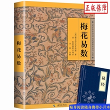 ÷הС{Ƥ׽ Ӻ ÷הT׽Pϵ