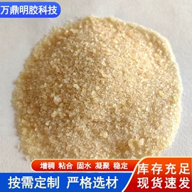 动物胶
