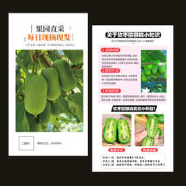 定制软枣猕猴桃说明书定做奇异果卡片制作设计食用温馨提示