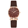 Fresh quartz fashionable belt, swiss watch, women's watch, wholesale