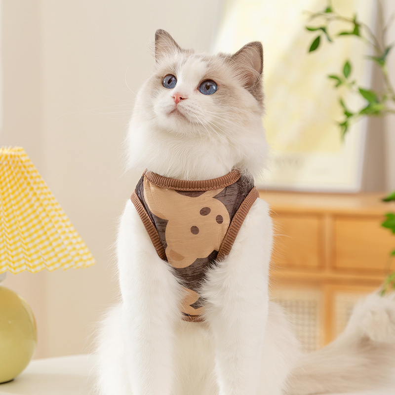 Gato coreano lindo viento primavera verano perro sin mangas malla oso chaleco trasero tirado gato sin pelo ropa para mascotas
