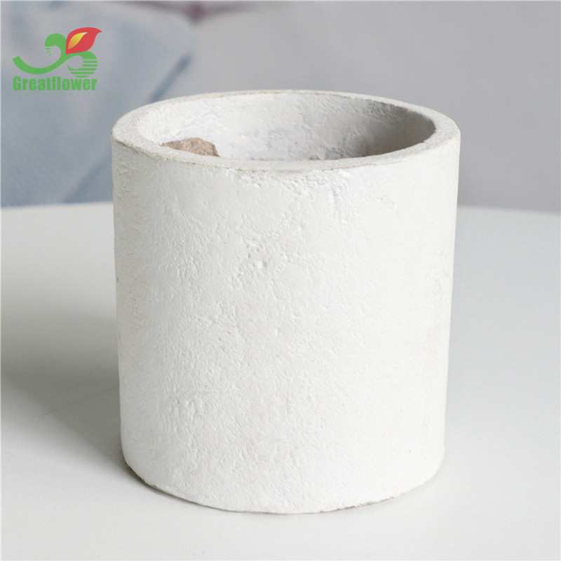 IMG_0978(20220302-111627)