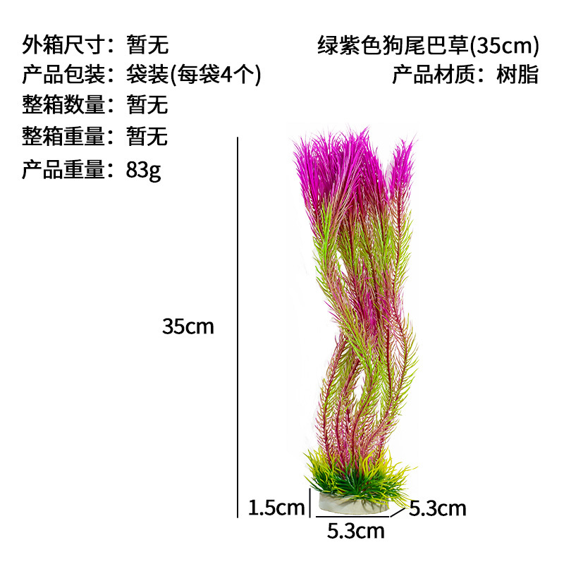 Hierba de cola de perro verde púrpura (35cm)
