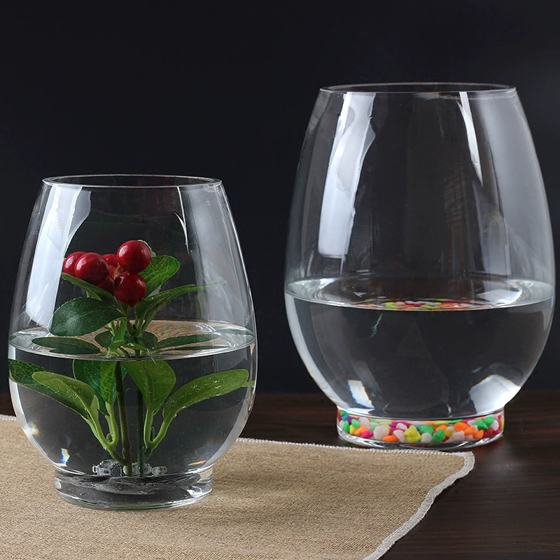 Гидропонная стеклянная ваза для растений, ваза для зеленой редиски, стеклянная сфера, аквариум для водных культур, в форме яйца динозавра, для декора дома (для растения «счастливый бамбук»).