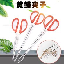 �O����Ʒ�S�X�A���r�Q�S�X�A���з���q�Q�ӿ��~�������A�X�~�A��