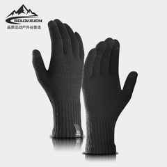 Cross-border exclusive knit gloves winter unisex touch screen solid color warm wool gloves with extra lining student Korean style DZ45