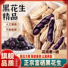 2026新货云南特产富硒黑花生官方旗舰店带壳生紫衣花生炒货下酒菜