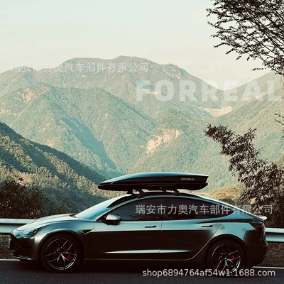 Tesla – Roof rack cross Luggage Rack