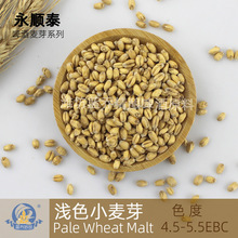 白啤专用小麦芽精酿啤酒原料浅色小麦芽PaleWheatMalt永顺泰麦芽