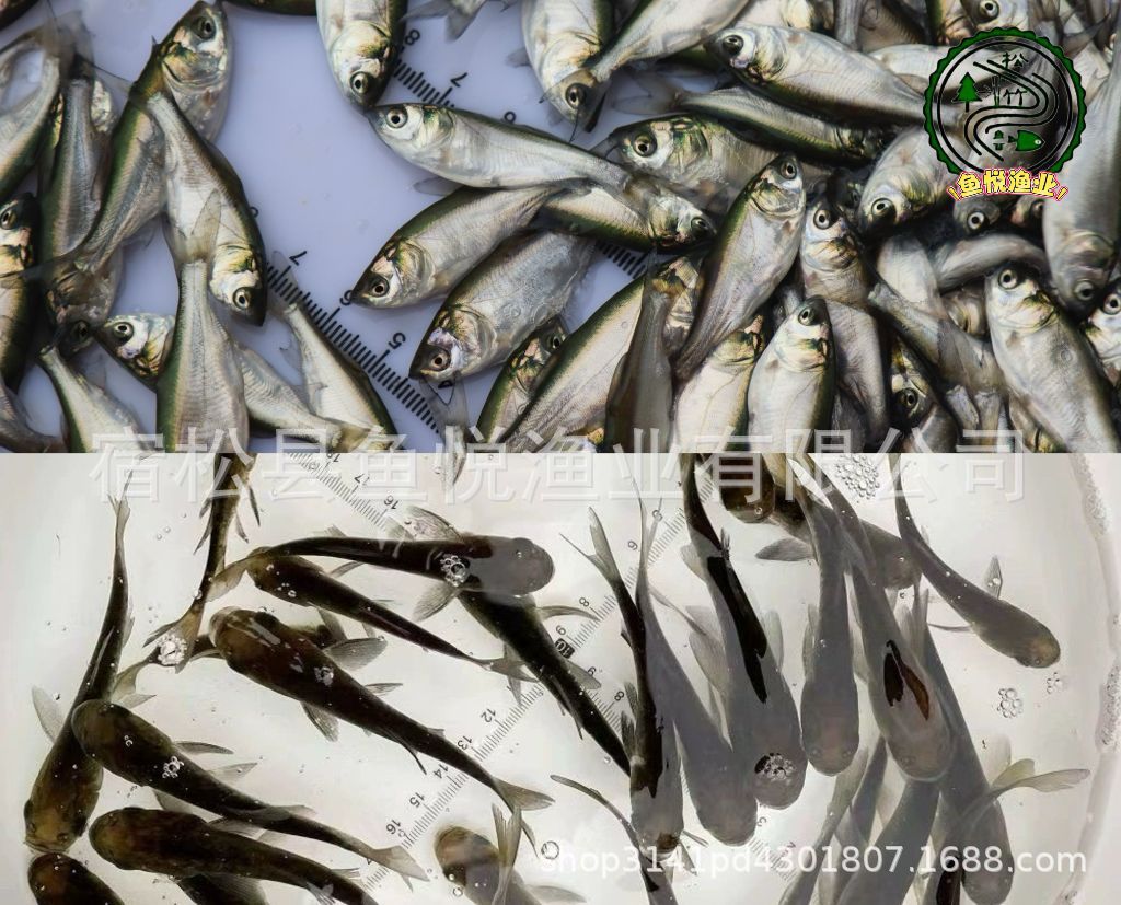 微信图片_2025-06-03_202825_639