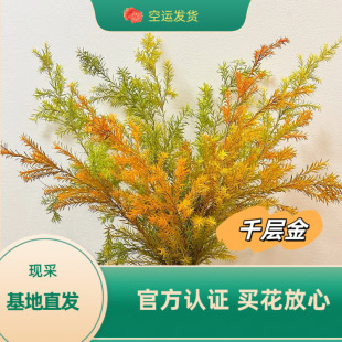��ϻ���ֱ�lǧ�ӽ��S�������k���ҿ͏d�廨�r��ˮ��ɻ���c