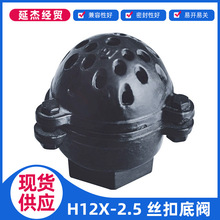 H12X-2.5鑄鐵絲扣底閥 水泵吸水閥 升降彈簧式止回閥 內螺紋底閥