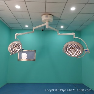 Shadowless Surgical Lamp, Double-Headed Shadowless Lamp, Suitable for Multiple Departments in Hospitals, Double-Headed Surgical Lamp, Petal-Shaped