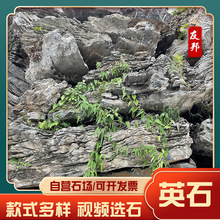 ӢѰ@쾰BʽӢʯ ǱP@ɽ쾰ʯ Ӣʯ S