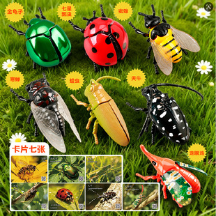 ����̽�����x�l�l�۷���߼ך��x���xģ�͋냺���ӵ�С���������