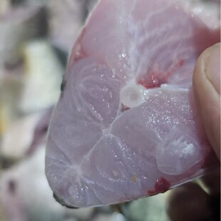 ���ۻ��~���~��K/�r�~��������~ԭ�Ϻ����L���~ԭ�ϰ��]����~