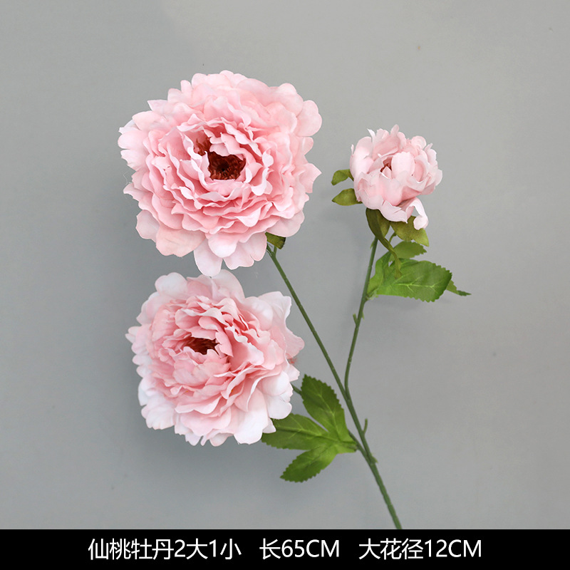 복숭아 모란