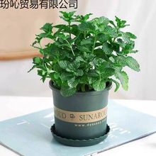 �������Կ�ʳ���ݲ��ļ��������̨���ֲ����B�׻����m�㱡���~