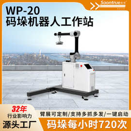 厂家WP-20码垛机机器人工作站升降工业机械手自动搬运纸箱设备