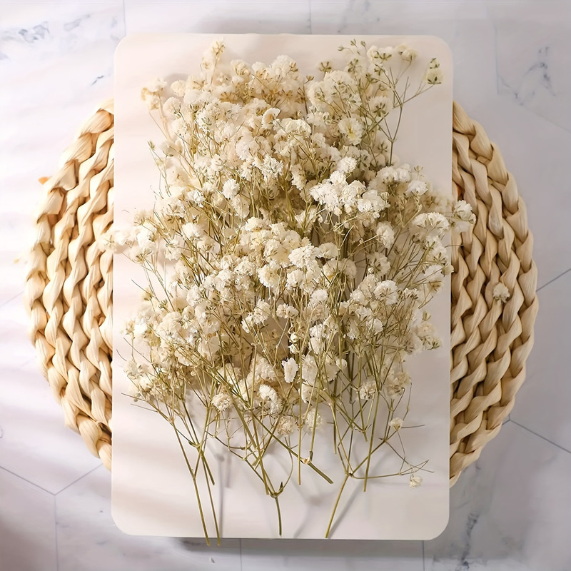 Everlasting Mini Baby's Breath Bulk Short Stems DIY Flower Materials Baby's Breath Flower Heads Dried Flowers Everlasting Flowers Cross-Border Shipping