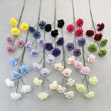 ���Q��3�^�ʯõ����滨��c�Y�û���õ�廨�͏d��ƿ�廨�ٻ�