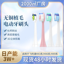 適用於飛利浦電動牙刷頭通用款 HX3/6/9無銅無金屬牙刷替換頭廠家