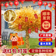 �����ɫ���Ř�u�X���S���ͼ٘�lؔ�����������t������X��