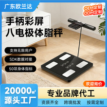 �羳�ֱ����������{����늘O�w֬�Ӽ��ý����\��BMI���I�w�س�