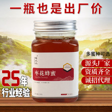 枣花蜜瓶装500g厂家供应液态结晶枣花蜂蜜原厂蜜1斤装一件代发