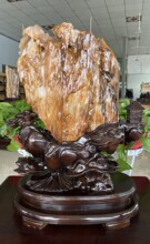 缅甸树化玉东岛老坑高冰鸡油黄玉石奇石原石矿物家居摆件收藏佳品