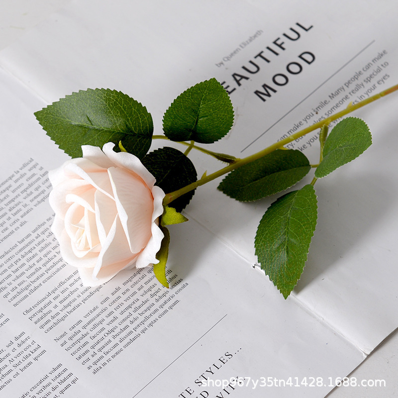 Small flannel champagne