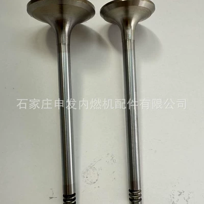Valves and components D7E intake valve