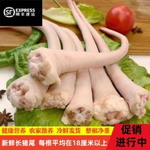 ��S���]ɢ�B���r�iβ���Lβ�Ͷ�β�������r��ɢ�B���i��Ƥ�iβ��