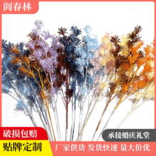 �������R��80cm�Ƶ�Ҿ߻�Y���b��b�� �ٻ����ϻ��S�����l