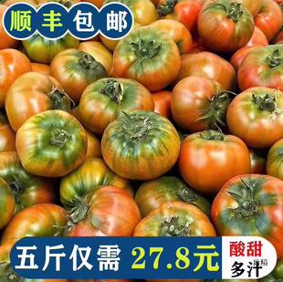���|��ݮ����5�����t�����r�|���FƤ������Ȼ������ˮ������