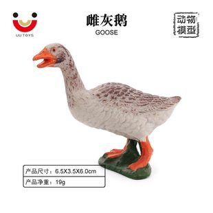 ��ͯ�r����߷�����݌��Ą���ģ���Z���Z�ƻ��Z����J֪�Y��[��