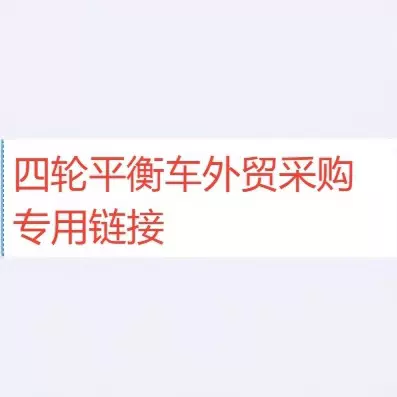 【四轮平衡车】外贸采购专用链接！